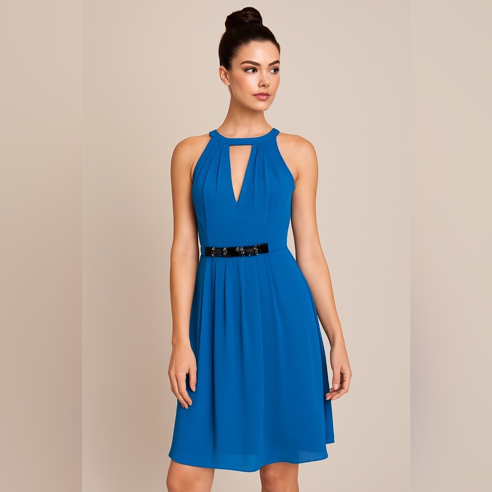 Ted Baker Blue Midi Dress
